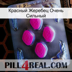 Красный Жеребец Очень Сильный 02